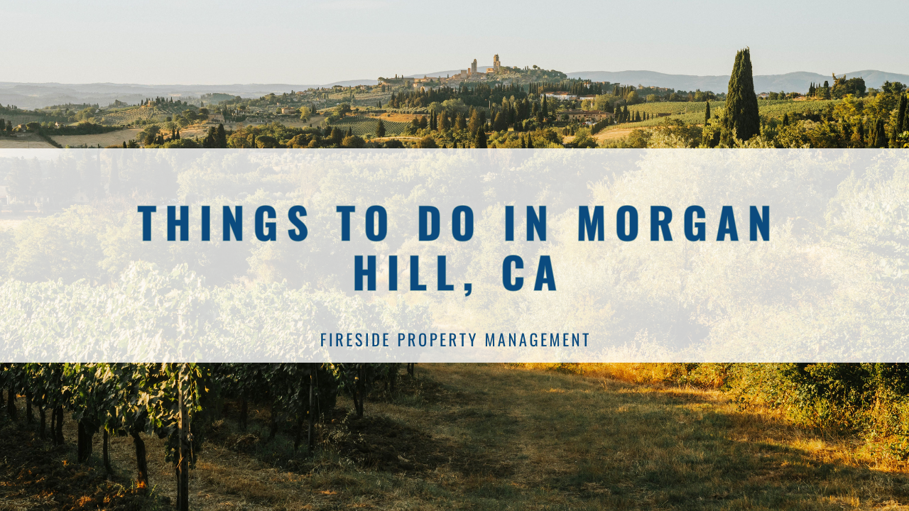 Things to Do in Morgan Hill, CA